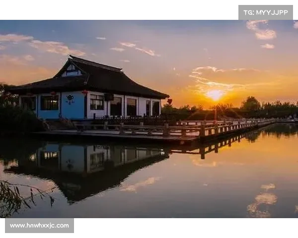 东超的含义是什么 如何理解这一词汇的文化背景与实际应用